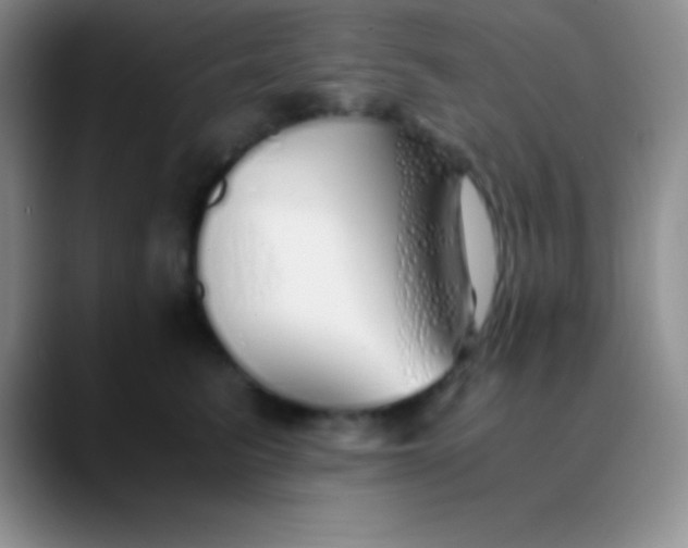 X0000089890615200707192015