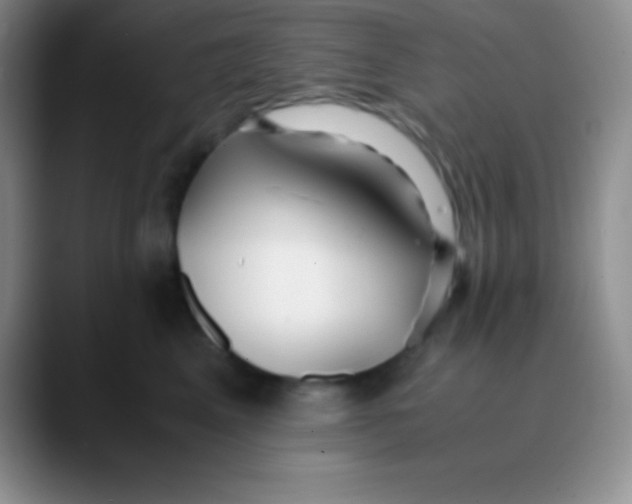 X0000089890617200707192015