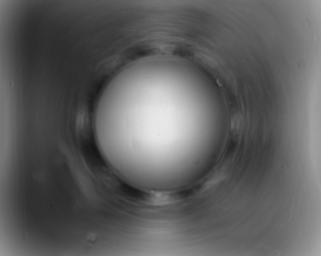 X0000089890623200707192015