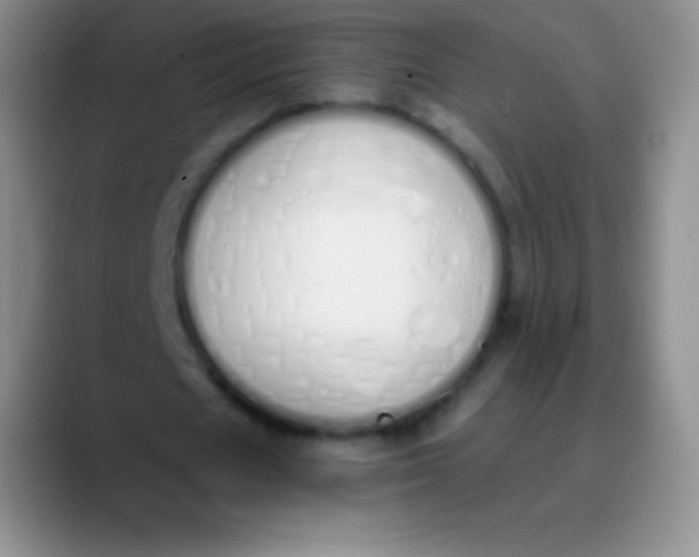 X0000089890625200707192015