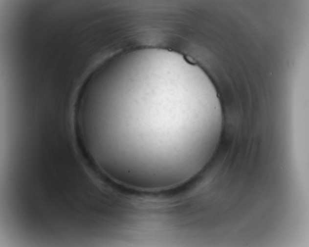 X0000089890626200707192015