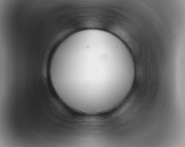 X0000089890629200707192015