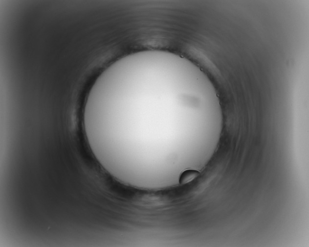 X0000089890635200707192015