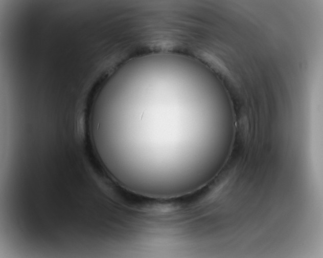 X0000089890638200707192015