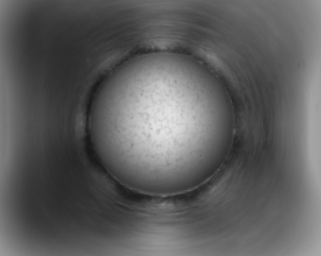 X0000089890640200707192015