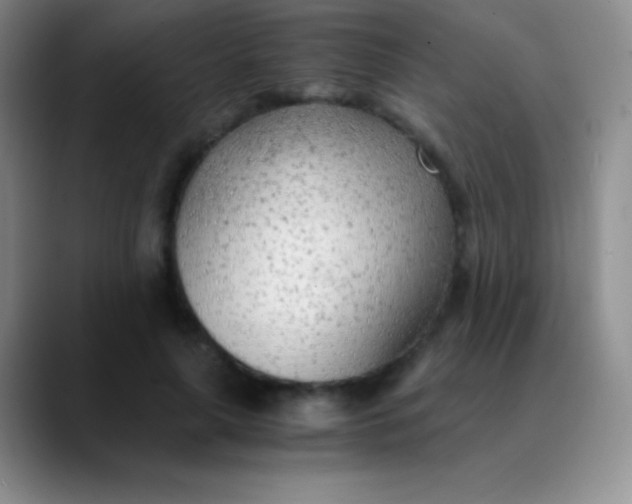 X0000089890643200707192015