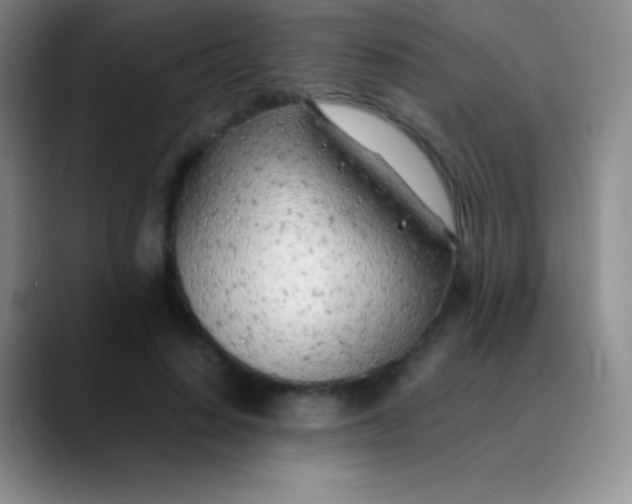 X0000089890644200707192015