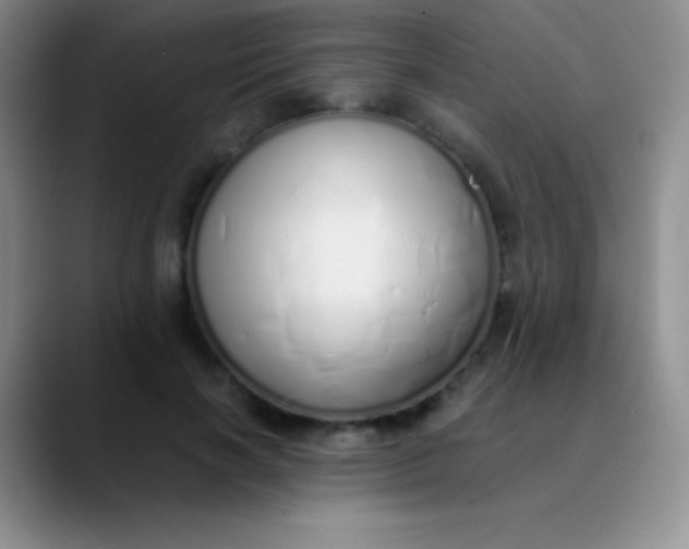 X0000089890646200707192015