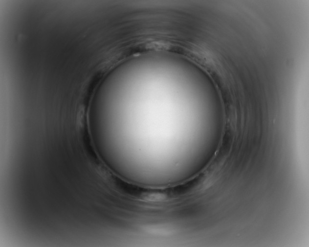 X0000089890649200707192015