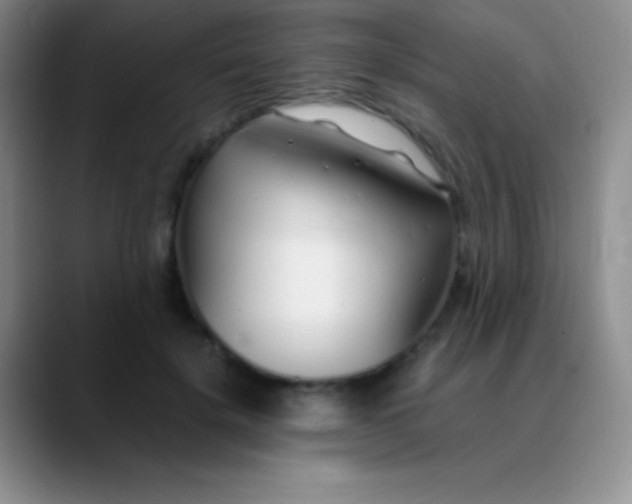 X0000089890652200707192015