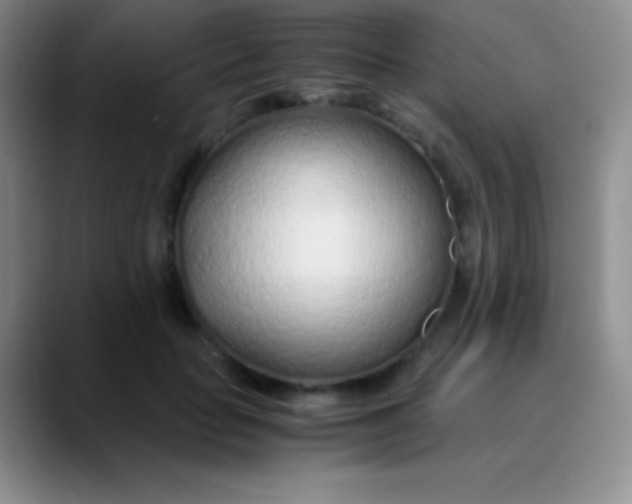 X0000089890653200707192015