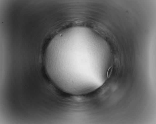 X0000089890654200707192015