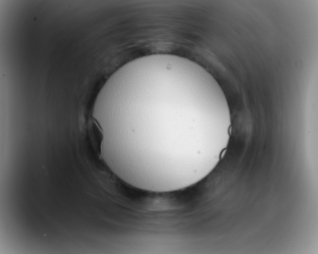 X0000089890655200707192015