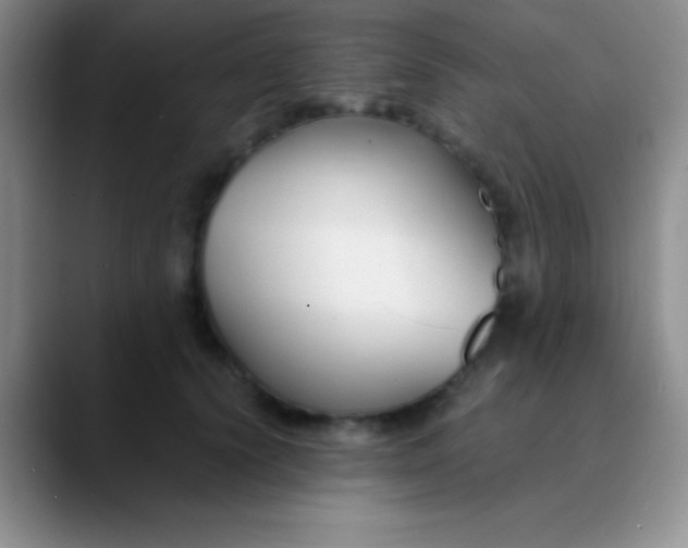 X0000089890656200707192015