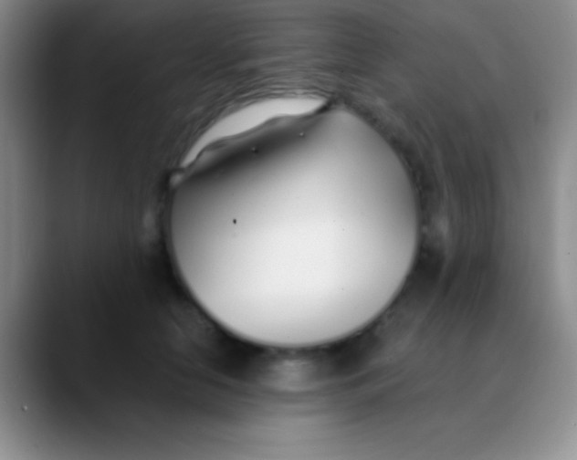 X0000089890658200707192015