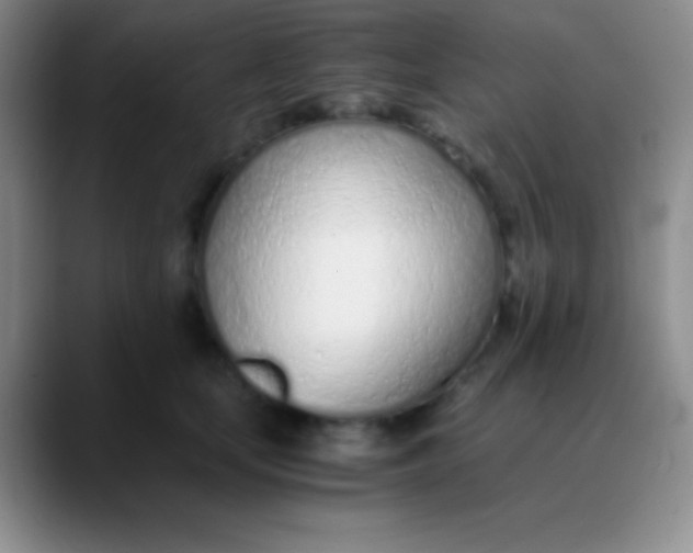 X0000089890659200707192015