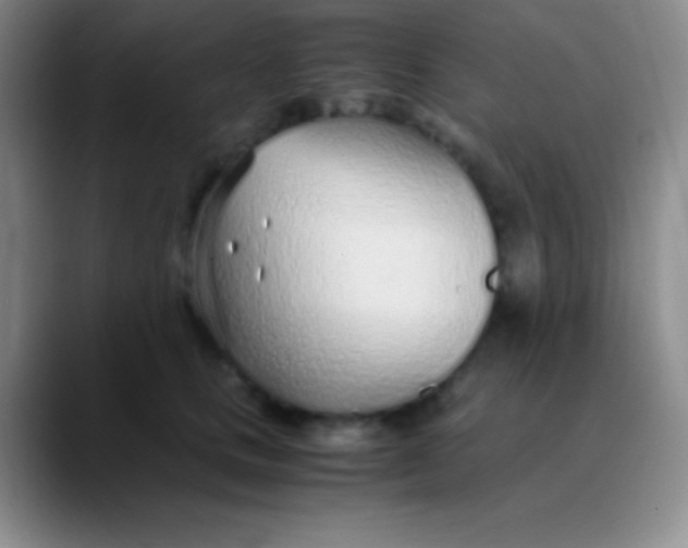 X0000089890661200707192015