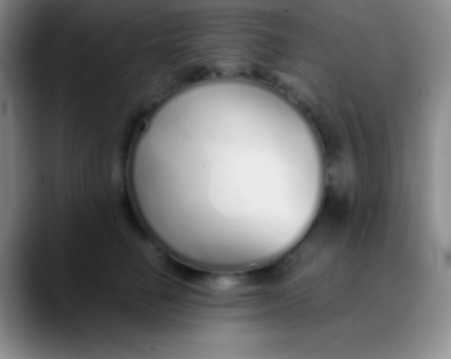 X0000089890662200707192015