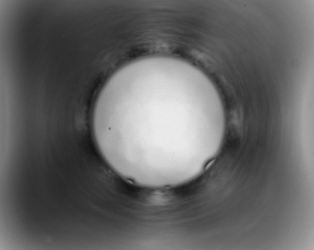 X0000089890663200707192015