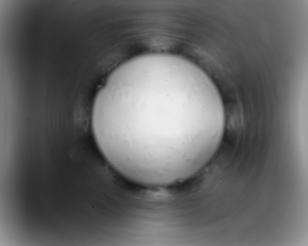 X0000089890666200707192015