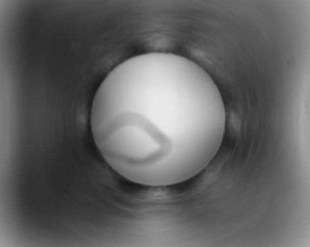 X0000089890668200707192015