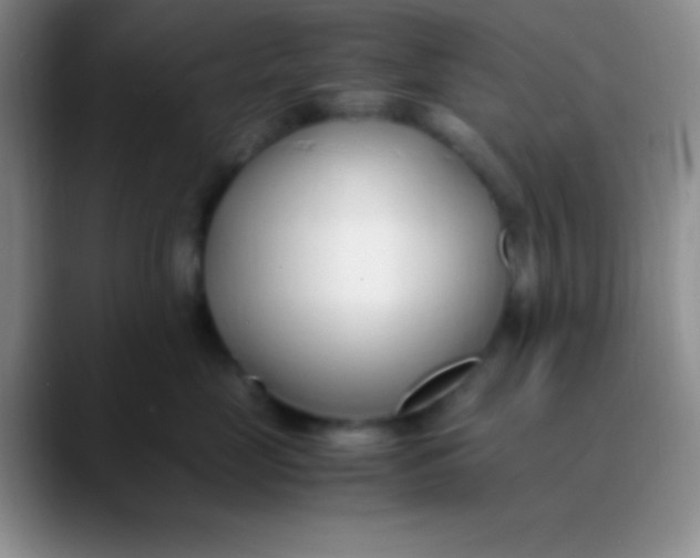 X0000089890669200707192015