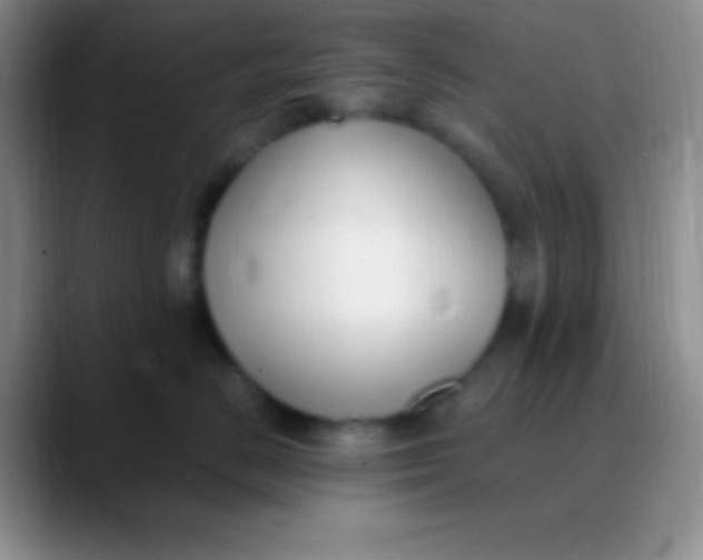 X0000089890670200707192015