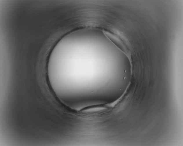 X0000089890673200707192015