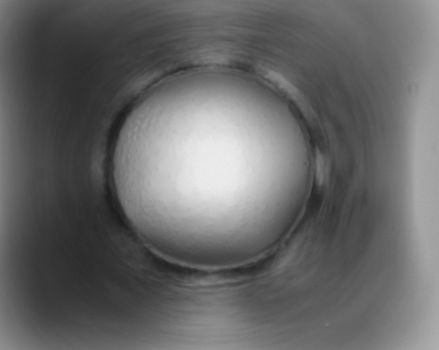 X0000089890675200707192015