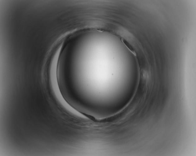 X0000089890676200707192015