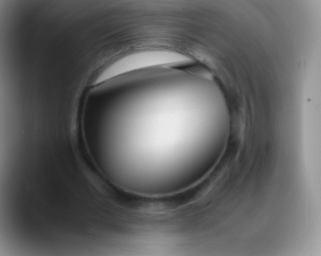 X0000089890677200707192015