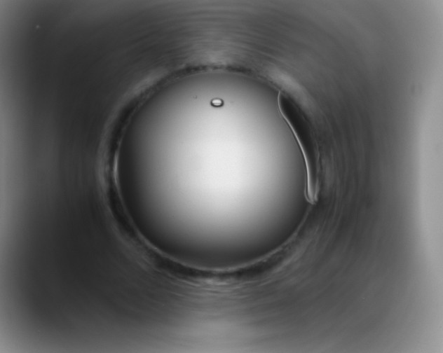 X0000089890680200707192015