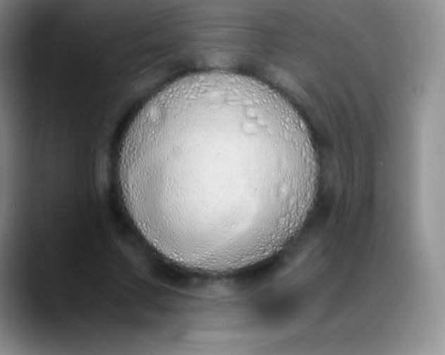 X0000089890683200707192015