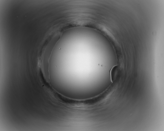 X0000089890685200707192015