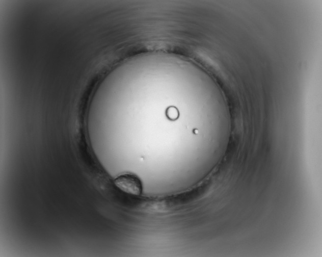 X0000089890687200707192015