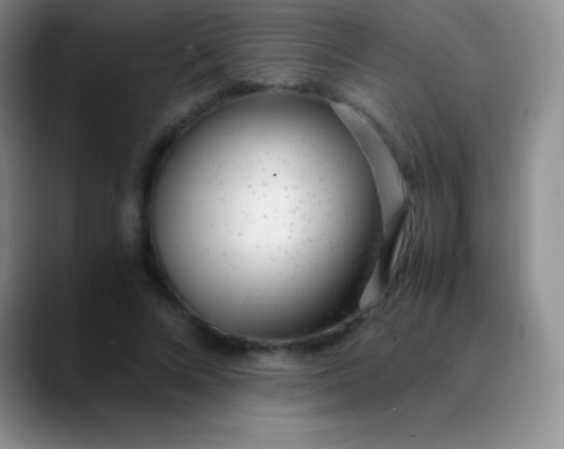 X0000089890688200707192015