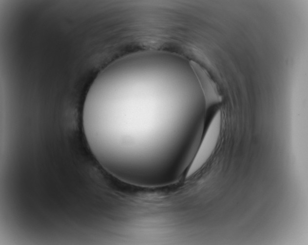 X0000089890689200707192015