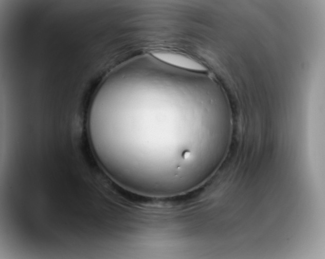 X0000089890691200707192015