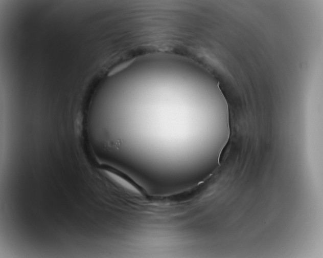 X0000089890693200707192014