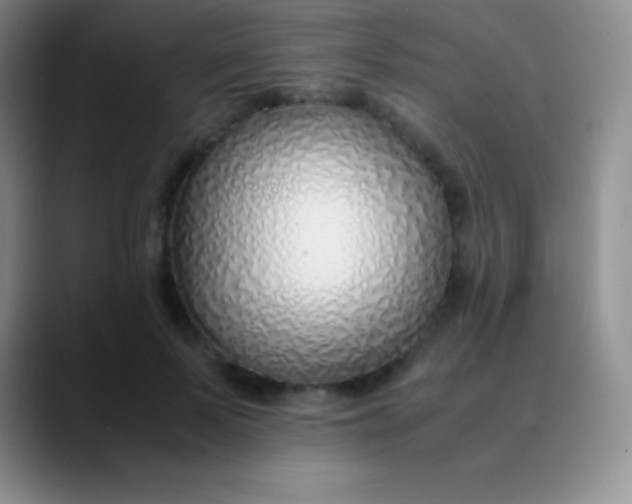 X0000089890695200707192014