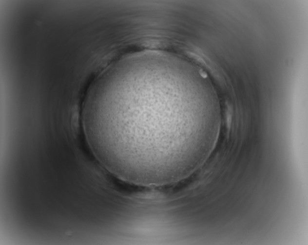 X0000089890696200707192014