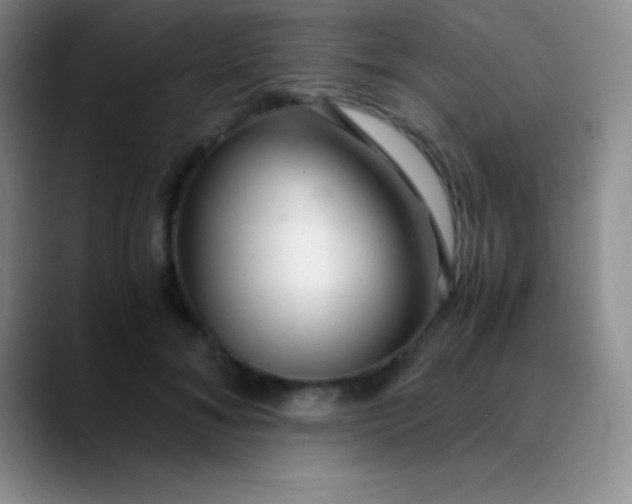 X0000089890700200707192014