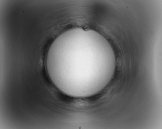 X0000089890703200707192014