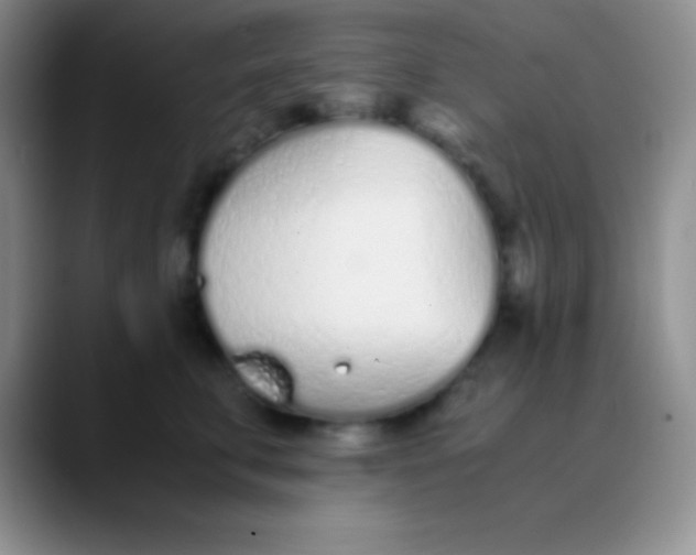 X0000089890711200707192014