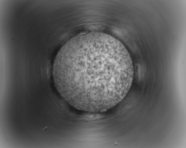 X0000089890712200707192014