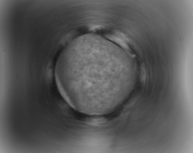 X0000089890716200707192014