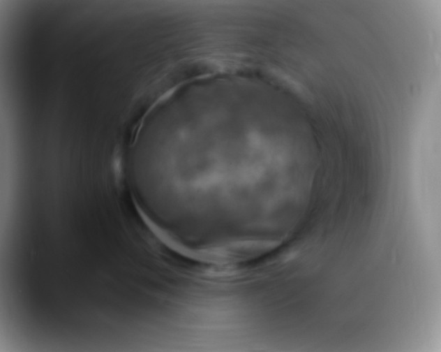 X0000089890720200707192014