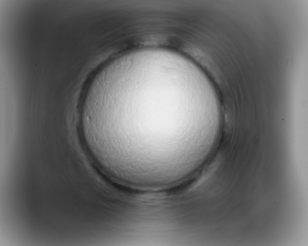 X0000089890721200707192014