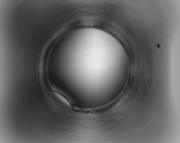 X0000089890722200707192014