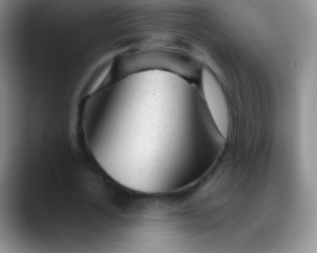 X0000089890724200707192014